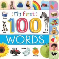 bokomslag My First 100 Words