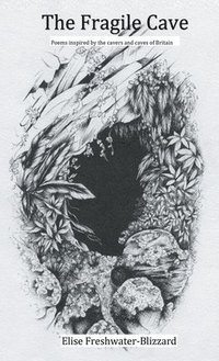 bokomslag Fragile Cave