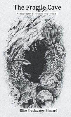 bokomslag Fragile Cave