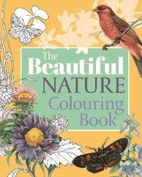 bokomslag The Beautiful Nature Colouring Book