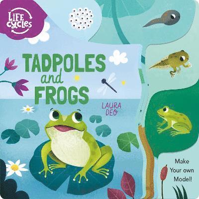 Tadpoles and Frogs 1