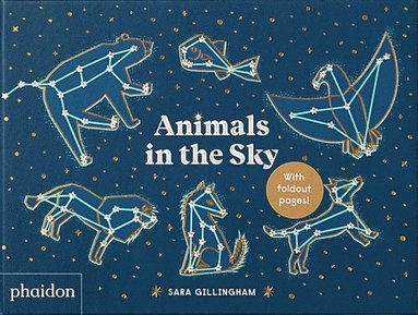 bokomslag Animals in the Sky