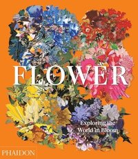 bokomslag Flower: Exploring the World in Bloom