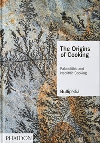 bokomslag The Origins of Cooking