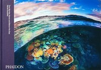 bokomslag Two Worlds: Above and Below the Sea