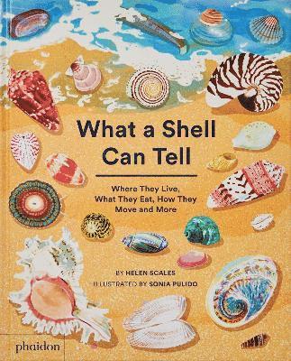 What A Shell Can Tell 1