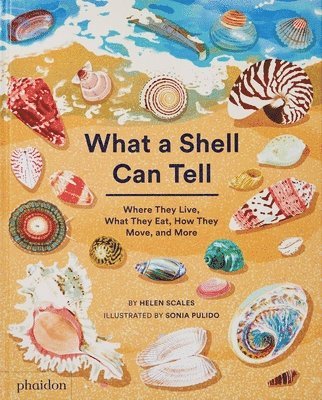 Helen Scales - What a Shell Can Tell, Inbunden