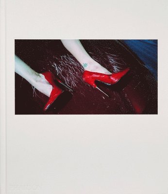 Steven Klein, Mark Holborn - Steven Klein, Inbunden
