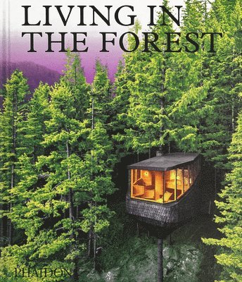 Living in the Forest 1