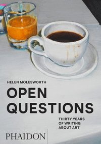 bokomslag Open Questions