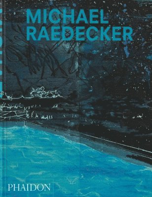 bokomslag Michael Raedecker