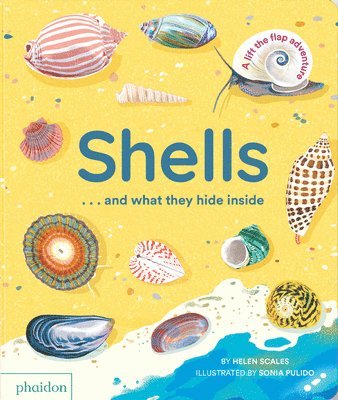 Helen Scales - Shells... and what they hide inside, Kartonnage