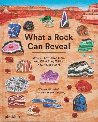 What a Rock Can Reveal 1