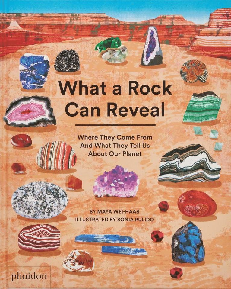 What a Rock Can Reveal 1