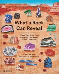 bokomslag What a Rock Can Reveal: Where They Come from and What They Tell Us about Our Planet