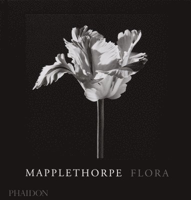Mapplethorpe Flora 1