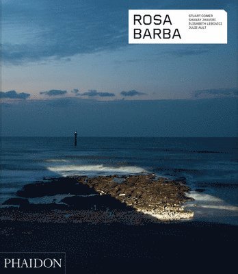 Stuart Comer, Shanay Jhaveri, Élisabeth Lebovici, Julie Ault - Rosa Barba, Häftad