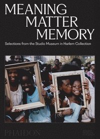 bokomslag Meaning Matter Memory