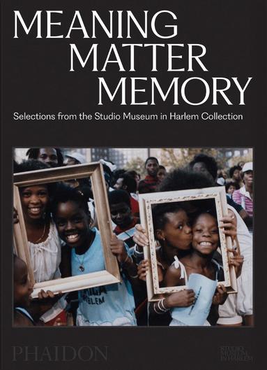Thelma Golden, Connie H. Choi, Mary Schmidt Campbell, Kinshasha Holman-Conwill, Lowery Stokes Sims - Meaning Matter Memory, Häftad