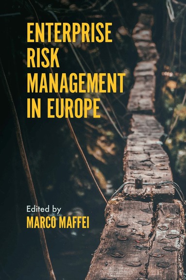Marco Maffei - Enterprise Risk Management in Europe, Inbunden