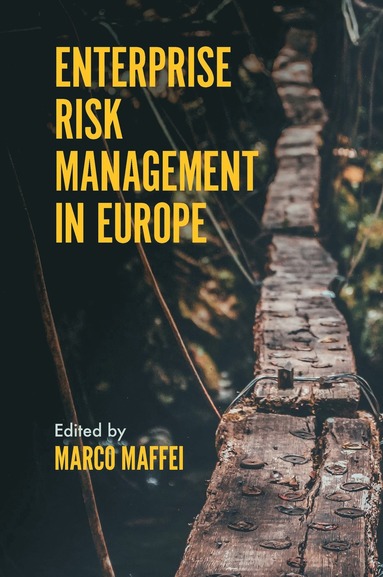 bokomslag Enterprise Risk Management in Europe