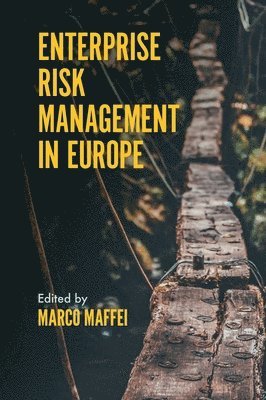 Marco Maffei, Italy) Maffei, Marco (University of Naples, Frederico II - Enterprise Risk Management in Europe, Inbunden