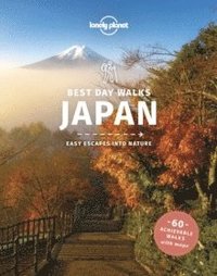 bokomslag Best Day Walks Japan