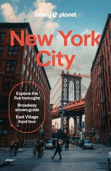 Lonely Planet, Brian Healy, Rachel Chang, John Garry, Dana Givens, Michael Grosberg, Teddy Minford, Maya Stanton, Meena Thiruvengadam, Caroline Trefler, Planet Lonely - Lonely Planet New York City, Häftad