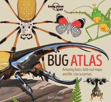 bokomslag Lonely Planet Kids Bug Atlas