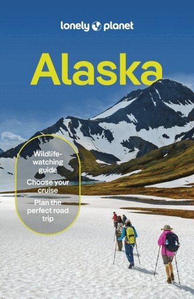 Lonely Planet, Erin Kirkland, Amy Bushatz, Kevin Raub, Regis St Louis - Lonely Planet Alaska, Häftad