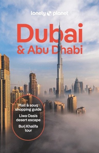 bokomslag Lonely Planet Dubai & Abu Dhabi