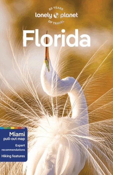 Lonely Planet, Regis St Louis, Amy Bizzarri, Jennifer Edwards, David Gibb, Adam Karlin, Andy Ward, Terry Ward - Lonely Planet Florida, Häftad