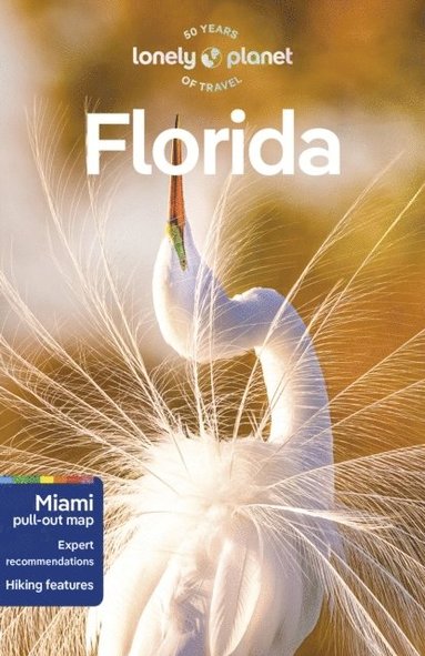 bokomslag Lonely Planet Florida