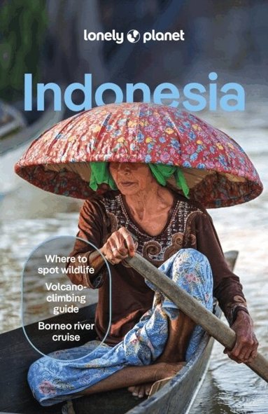 Lonely Planet, David Eimer, Jayne D'Arcy, Paul Harding, Mark Johanson, Jason Lee, Regis St Louis, Ryan Ver Berkmoes - Lonely Planet Indonesia, Häftad