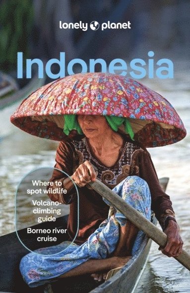 bokomslag Lonely Planet Indonesia