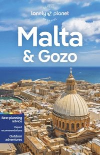 bokomslag Lonely Planet Malta & Gozo