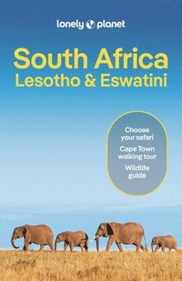 bokomslag Lonely Planet South Africa, Lesotho & Eswatini
