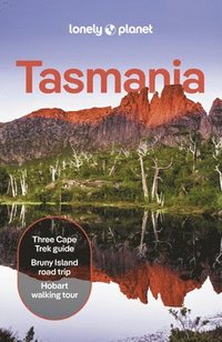 bokomslag Lonely Planet Tasmania