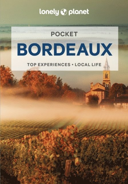 Lonely Planet Pocket Bordeaux 1