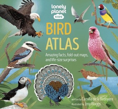 Lonely Planet Kids, Camilla de la Bedoyere - Lonely Planet Kids Bird Atlas, Inbunden