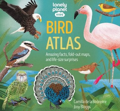 bokomslag Lonely Planet Kids Bird Atlas