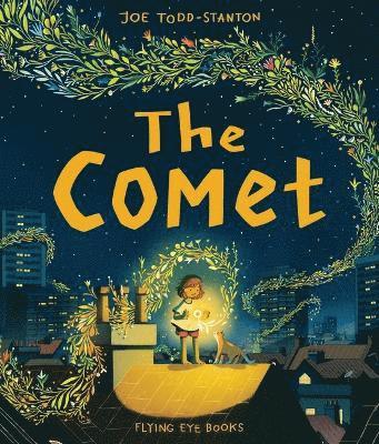 The Comet 1