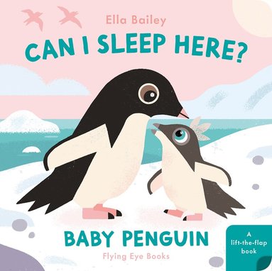 Ella Bailey - Can I Sleep Here? Baby Penguin, Kartonnage