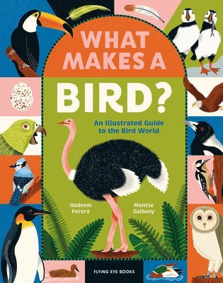 bokomslag What Makes a Bird?