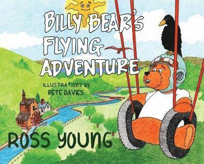 Billy Bear's Flying Adventure