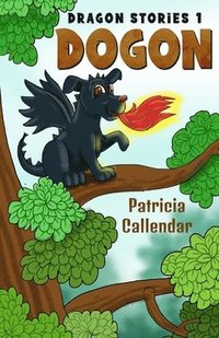 bokomslag Dragon Stories 1. Dogon