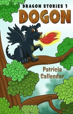 Dragon Stories 1. Dogon 1