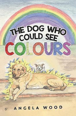 Angela Wood - Dog Who Could See Colours, Häftad