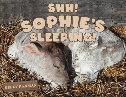 Shhh Sophie's Sleeping! 1