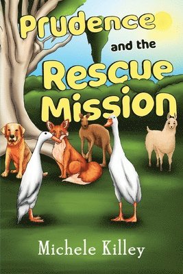 Prudence and the Rescue Mission 1